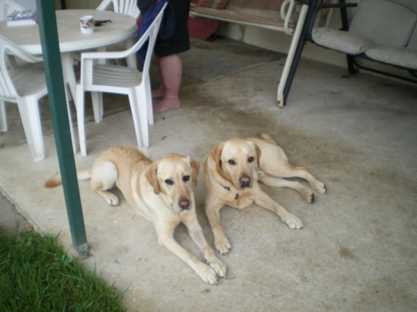 Mitch is on the left and Lenny is on the right taken on 23 December 2008